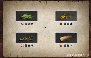 明日之后硬核生存最新爆料,揭秘神秘新地图与惊险挑战 第3张 明日之后硬核生存最新爆料,揭秘神秘新地图与惊险挑战 第3张